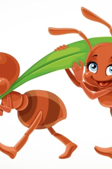 Two cartoon ants carrying a green leaf, illustrating counting songs and rhymes for kids.