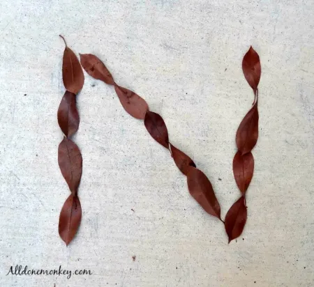 Letter 'N' made with leaves