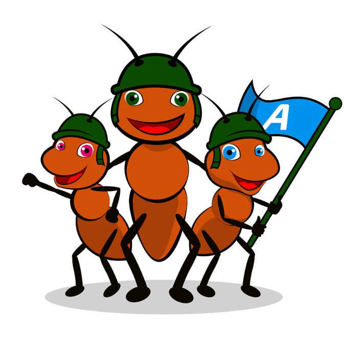 Three ants marching