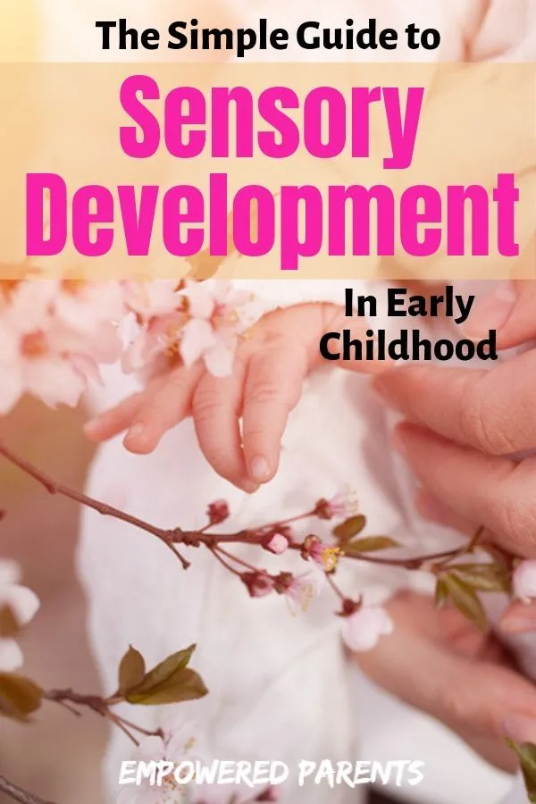 Pin - The guide to sensory development in children