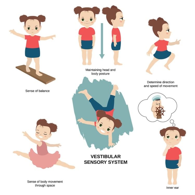 Vestibular System Exercises