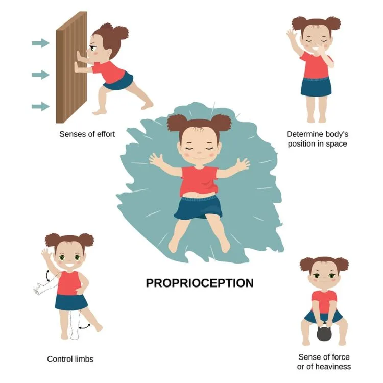 Image showing proprioception - body awareness