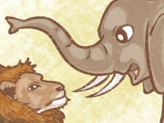 Elephant and lion in the path