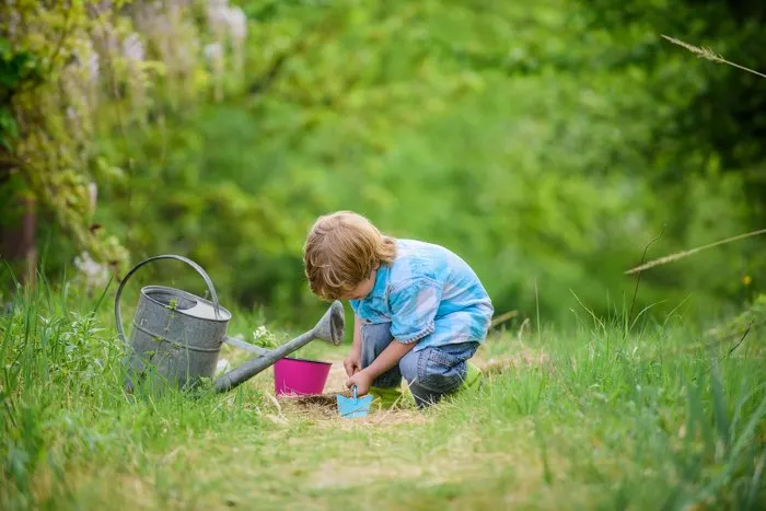 Children's discount intellectual development