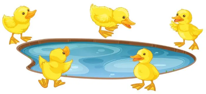 Picture of 5 little ducks around a pond
