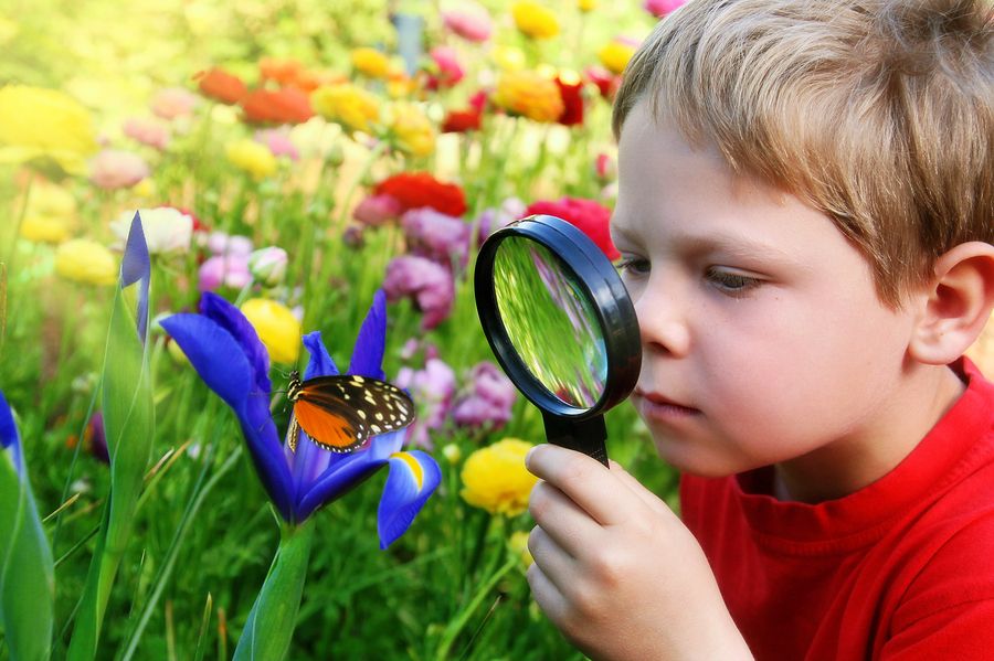 muggen lyd Ryd op 8 Reasons Exploring Nature with Children is Important - Empowered Parents