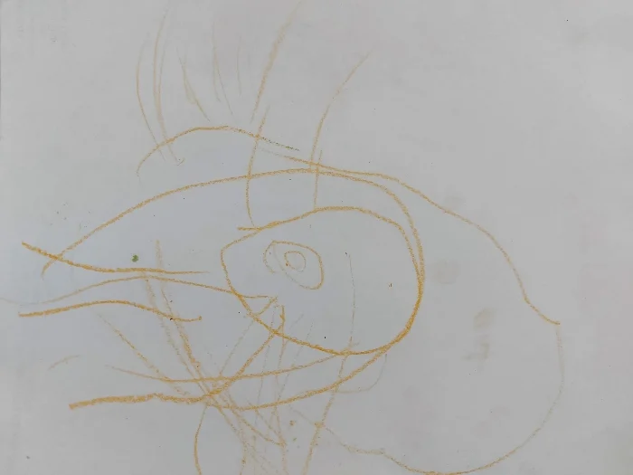 Picture of child's first attempt at drawing people