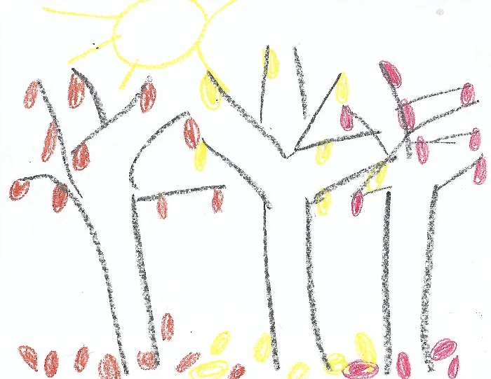 Drawing of fall trees