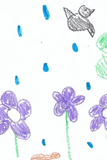 flower garden by a child