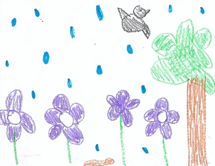 Child-like crayon drawing of a garden full of flowers with rainbow overhead  Stock Illustration | Adobe Stock