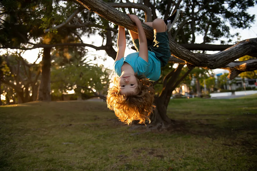 Child happily hanging upside down from a tree