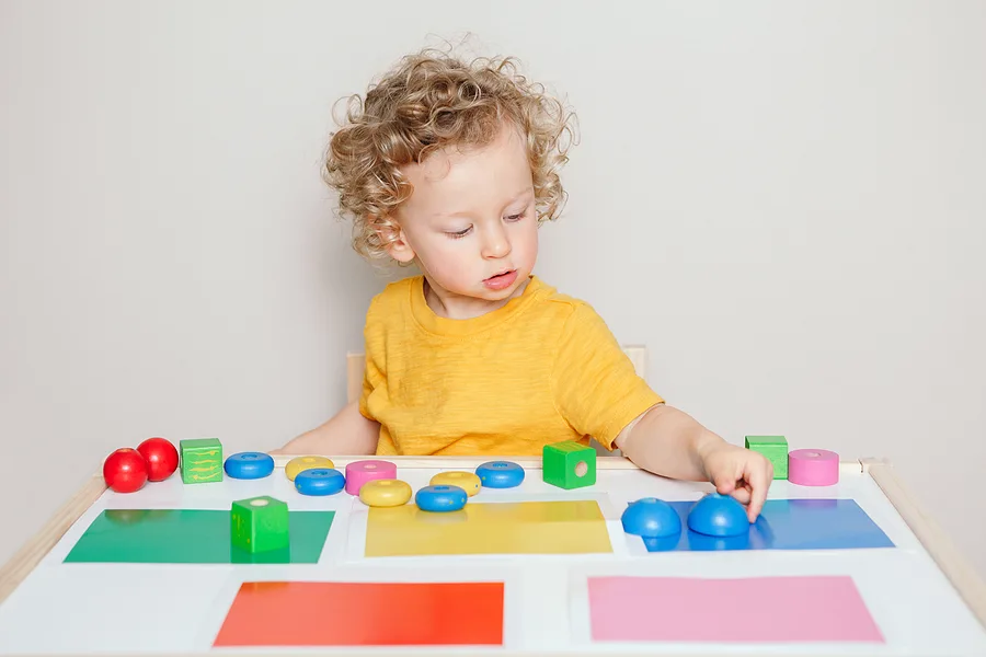 Tiny Hands, Sorting 1 (Age 2+) - The Good Play Guide