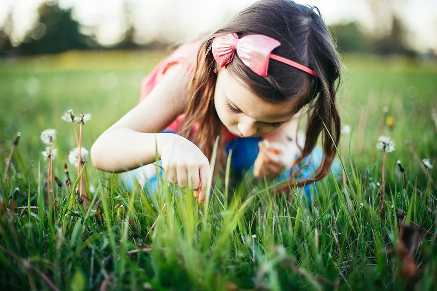 Child looking closely at the grass 