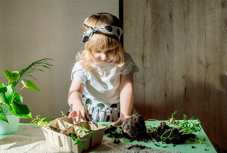 child gardening with dirt and plants inside