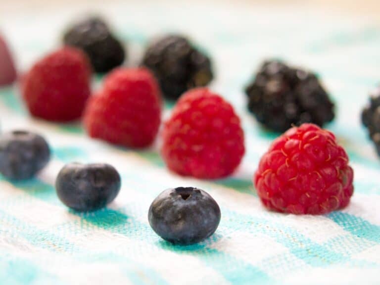 blueberries and raspberries in lines next to each other