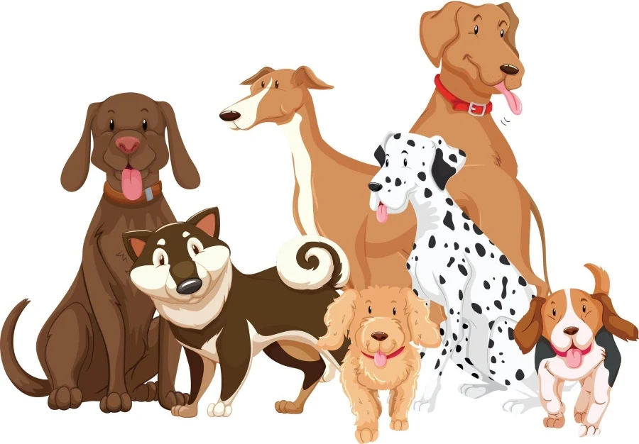 A picture of different breeds of dogs