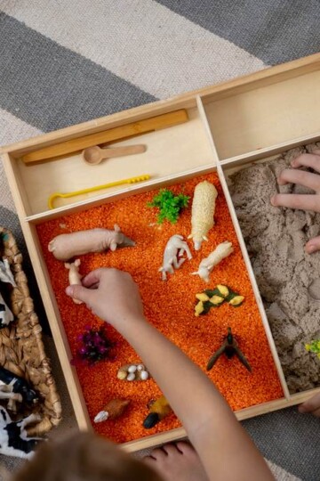 Children playing with plastic animal figurines in a wooden sand box
