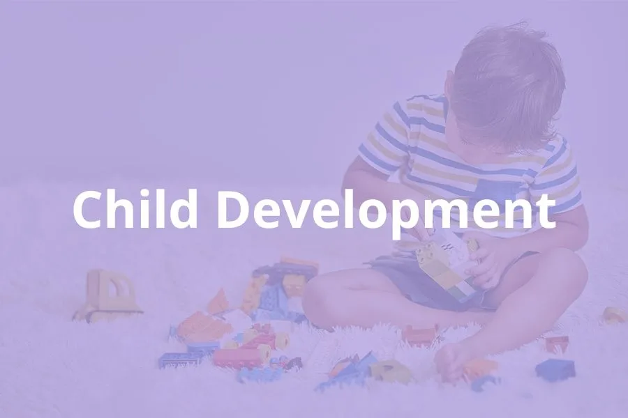Child playing with construction toys. Text overlay - Child development