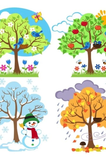 picture of trees in each season