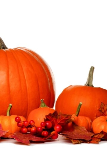 Pumpkins on white background