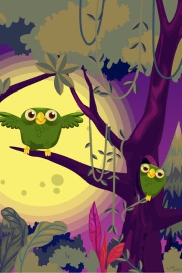 Owls on a tree at night