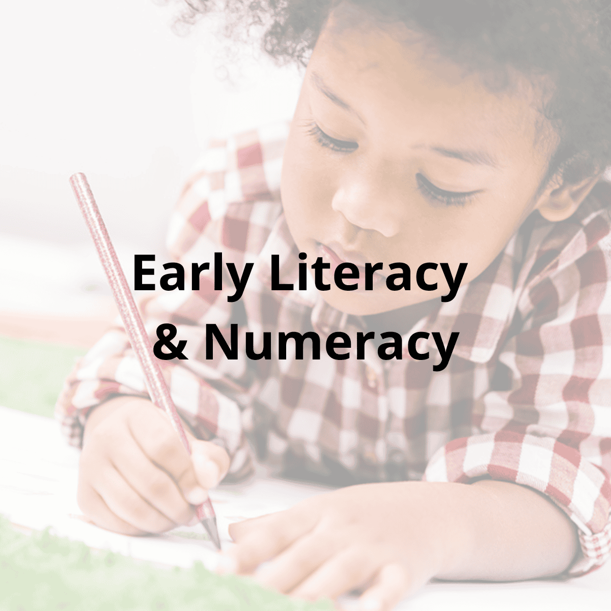Early Literacy & Numeracy
