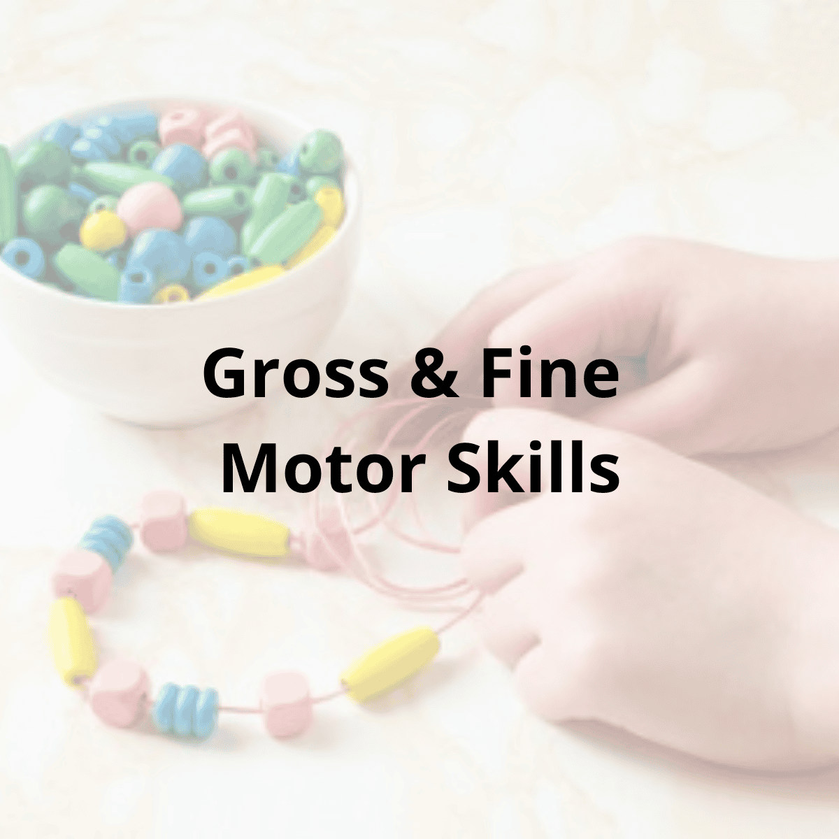 Gross & Fine Motor Skills